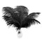 Natural Black Ostrich Feathers 12–14" (50 Pack) for Wedding & Party Décor